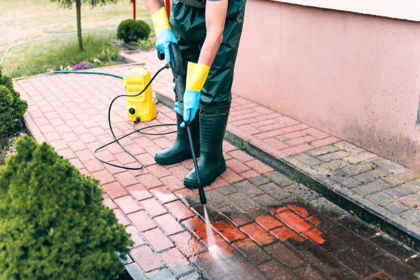 Roof Power Washing Services in Cambridge, MN