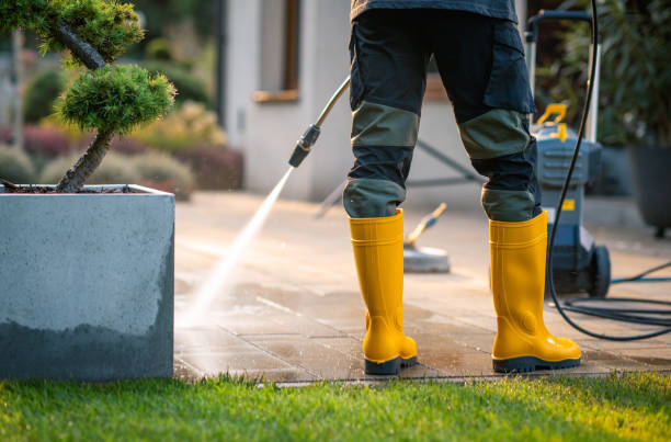 Best Roof Pressure Washing  in Cambridge, MN